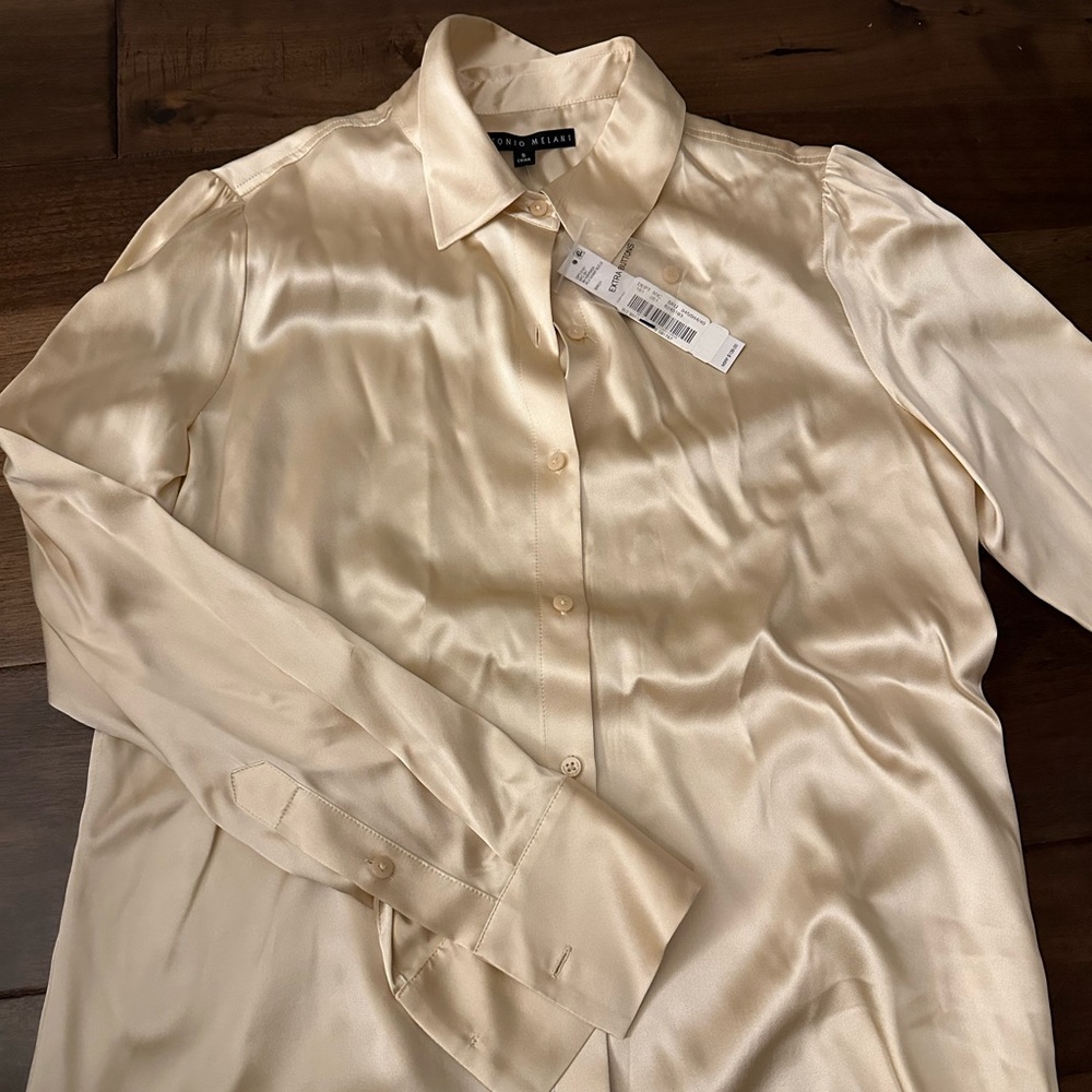 Antonio Melani Silk Button Down Blouse in Birch Size Small